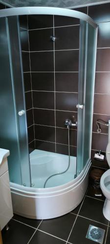 a shower with a glass door in a bathroom at Apartments Dedeic in Žabljak