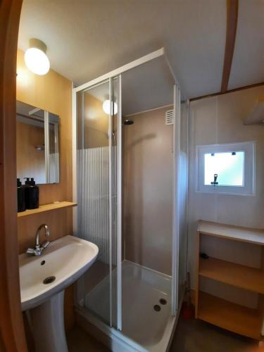 a bathroom with a shower and a sink at Groene Oase in Epe