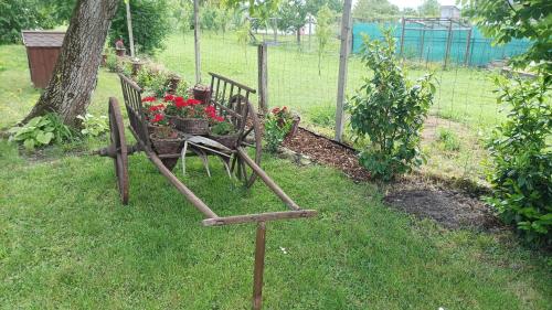 a garden with a bench with flowers in it at Guesthouse Tulipán Vendégház in Kosihy nad Ipľom