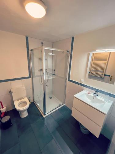 a bathroom with a shower and a toilet and a sink at Cottage Bergen NH in Bergen