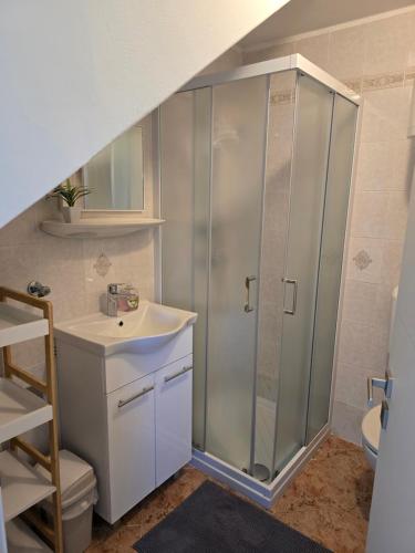 Apartments Radan