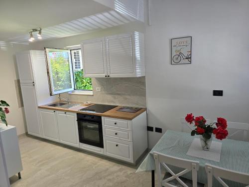 Apartments Radan