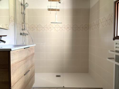 une salle de bain avec douche et lavabo dans l'établissement La Tuillière, à Saint-Étienne-de-Puycorbier