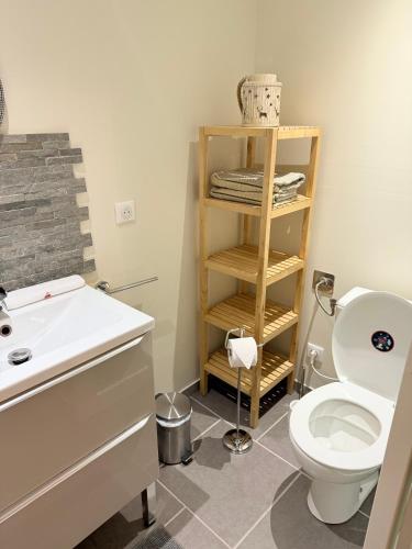 a bathroom with a toilet and a sink at Chambre La Dracysienne in Dracy-le-Fort
