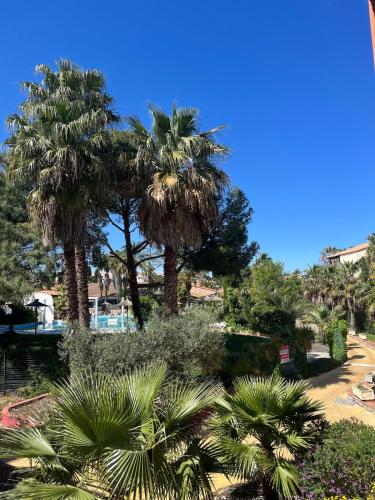 un groupe de palmiers dans un parc dans l'établissement Relaxing vacation, à Brignac