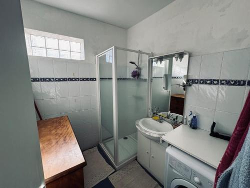 une salle de bain avec douche et lavabo dans l'établissement Proche Plage 2 Chambres, à Valras-Plage