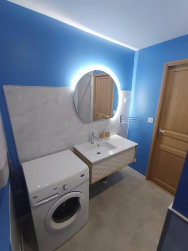 une salle de bain avec une machine à laver et un lavabo dans l'établissement Gîte au cœur des châteaux de la Loire, à Francueil