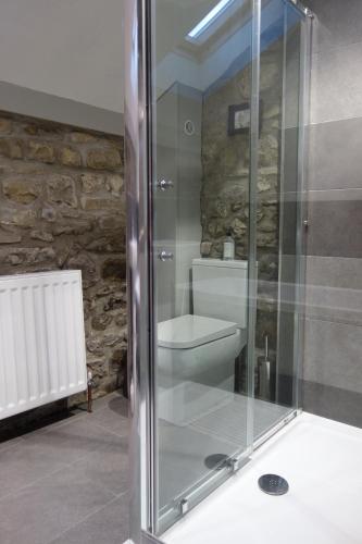 a bathroom with a glass shower with a toilet at Hawks Barn - Horton in Ribblesdale in Horton in Ribblesdale