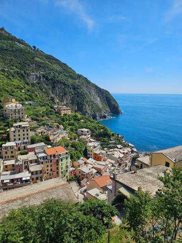 a town on a hill next to the ocean at Cá Stella studio Flat in Riomaggiore