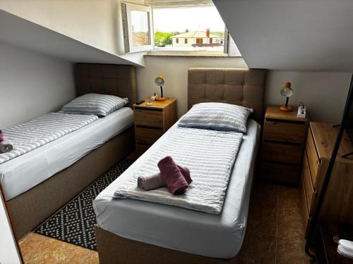 Apartmani Rozi