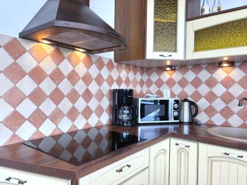a kitchen with a counter top with a microwave at Villa Concha-Apartamenty Bryza-Parking in Świnoujście