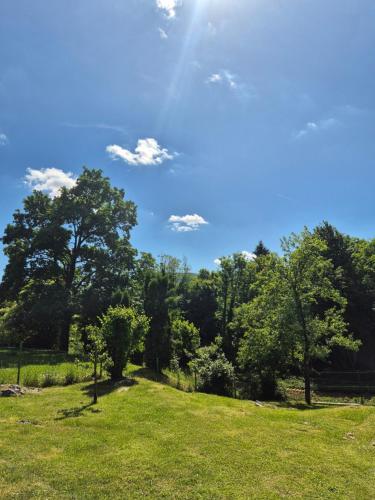 a field of grass with trees in the background at Apartment Slap in Rakovica