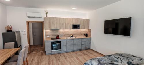 Kuchyň nebo kuchyňský kout v ubytování Nový Apartmán Na Grůsce Strážnice u Baťáku