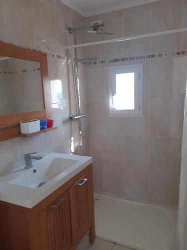 une salle de bain avec un lavabo, une douche et un miroir dans l'établissement L Olivier, à Gattières