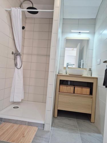 a bathroom with a shower and a sink at Maisonnette entre terre et mer in Saint-Malo-de-Guersac