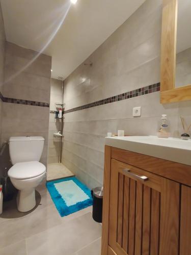une salle de bain avec toilettes et lavabo dans l'établissement Studio Athena, à Aix-les-Bains