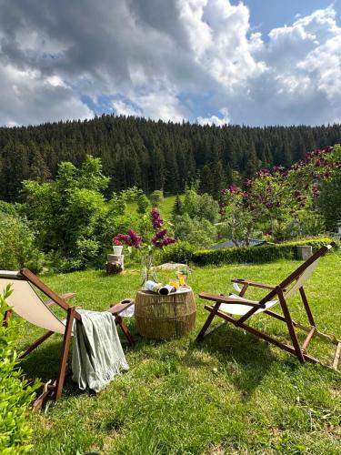 Κήπος έξω από το Black Forest Dream Apartments