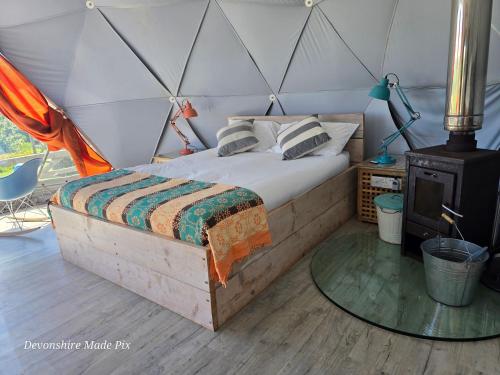WelcombeにあるKoa Tree Geodesic Domeのギャラリーの写真