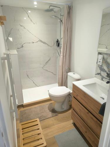 une salle de bain avec toilettes, douche et lavabo dans l'établissement Gites les Bon' aparte gite 2, à La Chapelle-sur-Loire