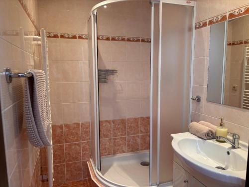 a bathroom with a shower and a sink at Ubytování Jívka 86 in Jívka