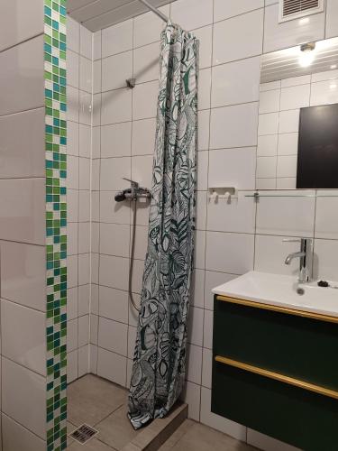 a shower curtain in a bathroom with a sink at Pirat Turawa in Turawa