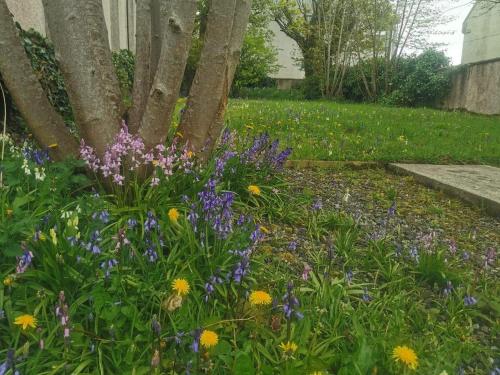 Taman di luar Top Bothy, town centre accommodation sleeps 2