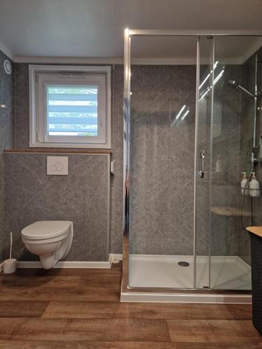 a bathroom with a toilet and a glass shower at Tiny House in schöner Lage in Lustenau