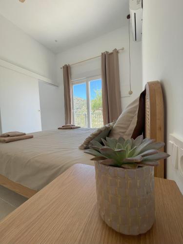 a bedroom with a bed with a potted plant on a table at Casa La Brisa in Arenas