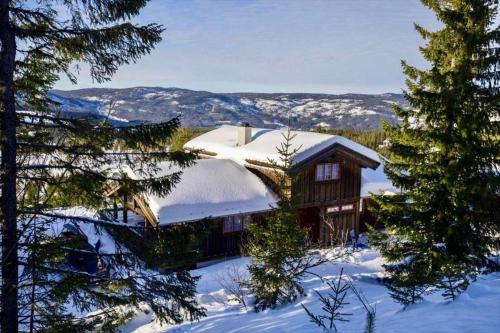 a house covered in snow with trees at Grand cabin at Nesfjellet with lovely view, inddor Jacuzzi & sauna in Nes i Ådal