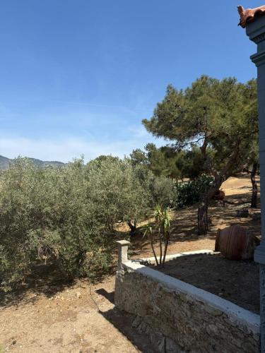 a house with a view of the desert and trees at Varvayanni Villa in Plomarion