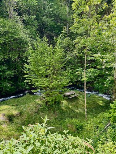 un ruisseau au milieu d'une forêt plantée d'arbres dans l'établissement Fraîcheur garantie château perché avec rivière privée en pleine nature, à Cazenave-Serre-et-Allens