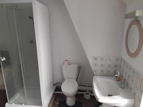 une salle de bain avec toilettes, douche et lavabo dans l'établissement vintage room, à Châteauroux