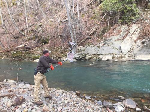 Φωτογραφία από το άλμπουμ του A B&B at Llewellyn Lodge σε Lexington