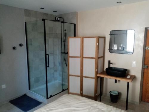 une salle de bain avec une douche en verre et un lavabo dans l'établissement passage 1, à Montaren-et-Saint-Médiers