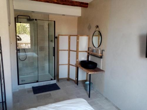 une salle de bain avec une douche, un lavabo et un miroir dans l'établissement passage 1, à Montaren-et-Saint-Médiers