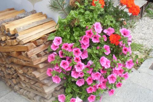 a basket filled with pink flowers next to a bench at Almhaus Pfister OHG in Predoi
