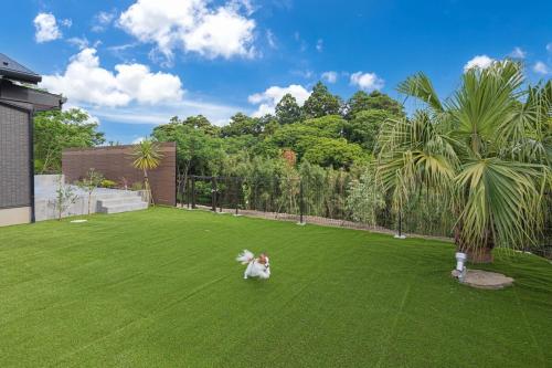 a dog running across a green lawn at Private Villa AZUL 南房総 千倉 海徒歩4分 ペット可 サイクリスト対応 in Minamiboso