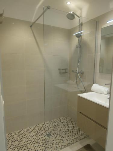a bathroom with a glass shower and a sink at Iberia Beach Front Sea in Juan-les-Pins