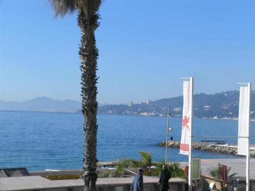 a view of the water with two palm trees at Iberia Beach Front Sea in Juan-les-Pins