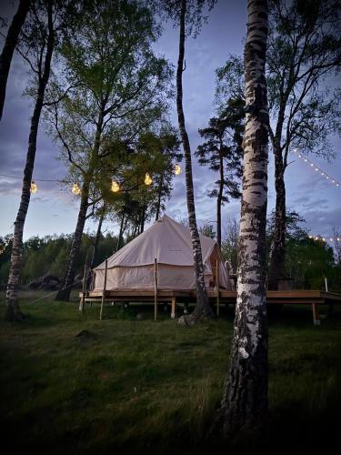 Příroda nedaleko luxury tent