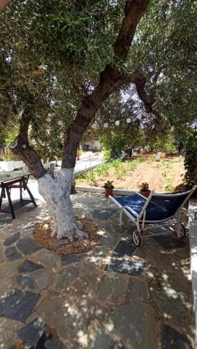 a baby carriage sitting next to a tree at Anissa Tiny Garden Loft in Anissaras
