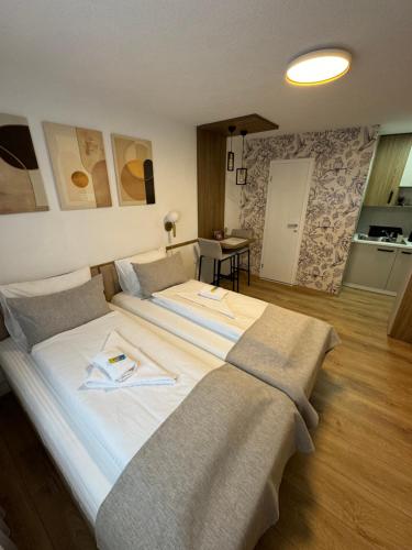 Kuchyň nebo kuchyňský kout v ubytování Apartments HAN 2 Sarajevo