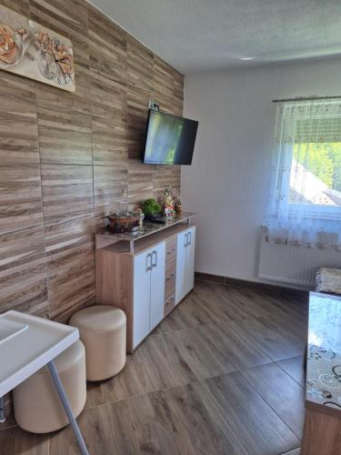 a bathroom with a sink and a tv on a wall at Apartment Slap in Rakovica