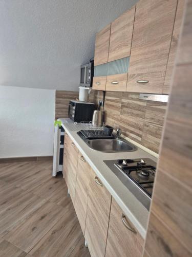a kitchen with a sink and a counter top at Apartment Slap in Rakovica