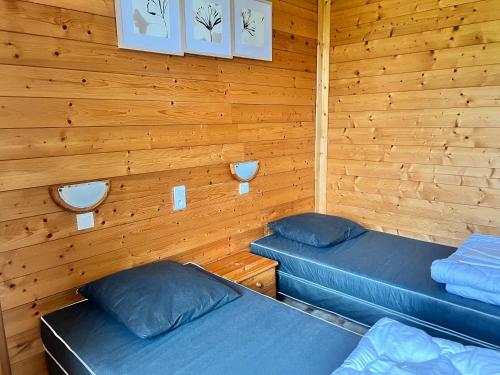 two beds in a room with wooden walls at Résidence Les Dômes in Murol