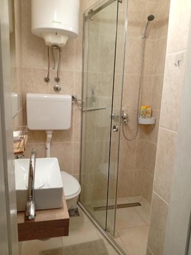 a bathroom with a shower and a toilet and a sink at Apartman Slađa in Novi Sad