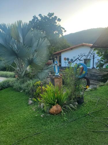 a garden with plants and a house with a hose at Hotel Campestre Villa Nico in Bochalema