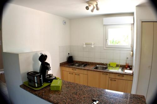a kitchen with a counter top with a black figurine at Résidence Saint Michel in LʼÎle-Rousse