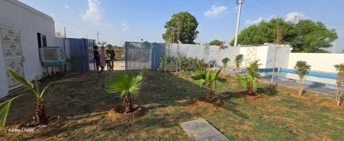 a group of palm trees in a yard next to a fence at NATURE GREEN faarm in Dahmi