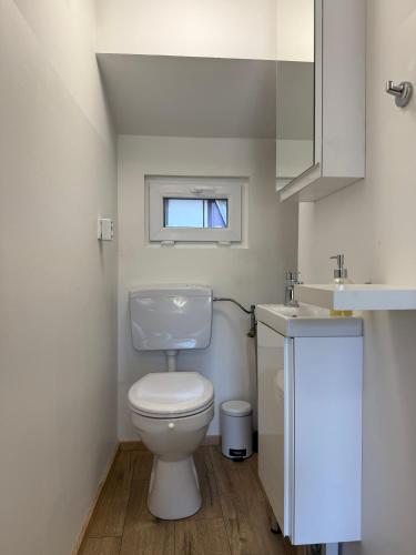 a small bathroom with a toilet and a sink at Mobile House LaSiesta Thermal park Terme 3000 in Moravske Toplice